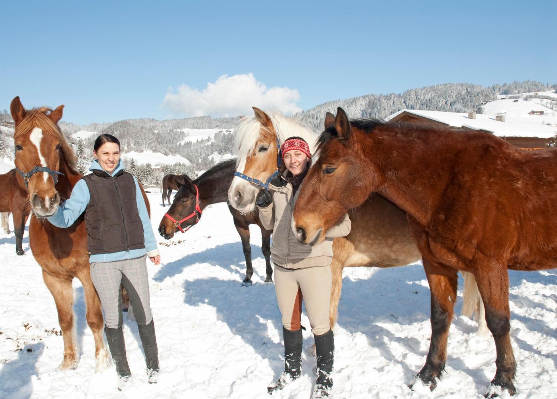 Hotel & Alpin Lodge Der Wastlhof ニーデラウ エクステリア 写真