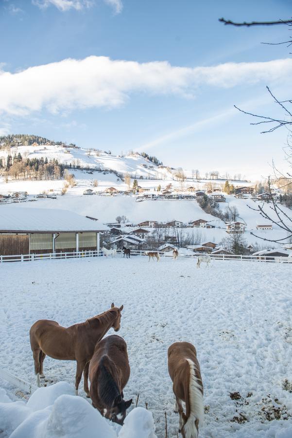 Hotel & Alpin Lodge Der Wastlhof ニーデラウ エクステリア 写真